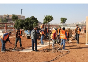 Yeşil Bir Şanlıurfa İçin 7’den 70’e Seferberlik