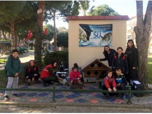 Sokak Kedileri İçin ’Kedi Evi’