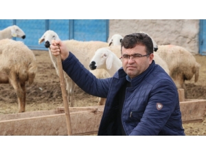 Aksaraylı Üreticiler Mera Hayvanlarının Masraflarından Şikayetçi