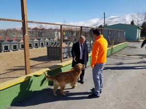Niğde Belediye Başkanı Özkan Hayvan Barınağını İnceledi