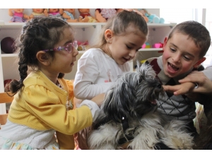 Minik Eller Minik Patilerle Buluştu