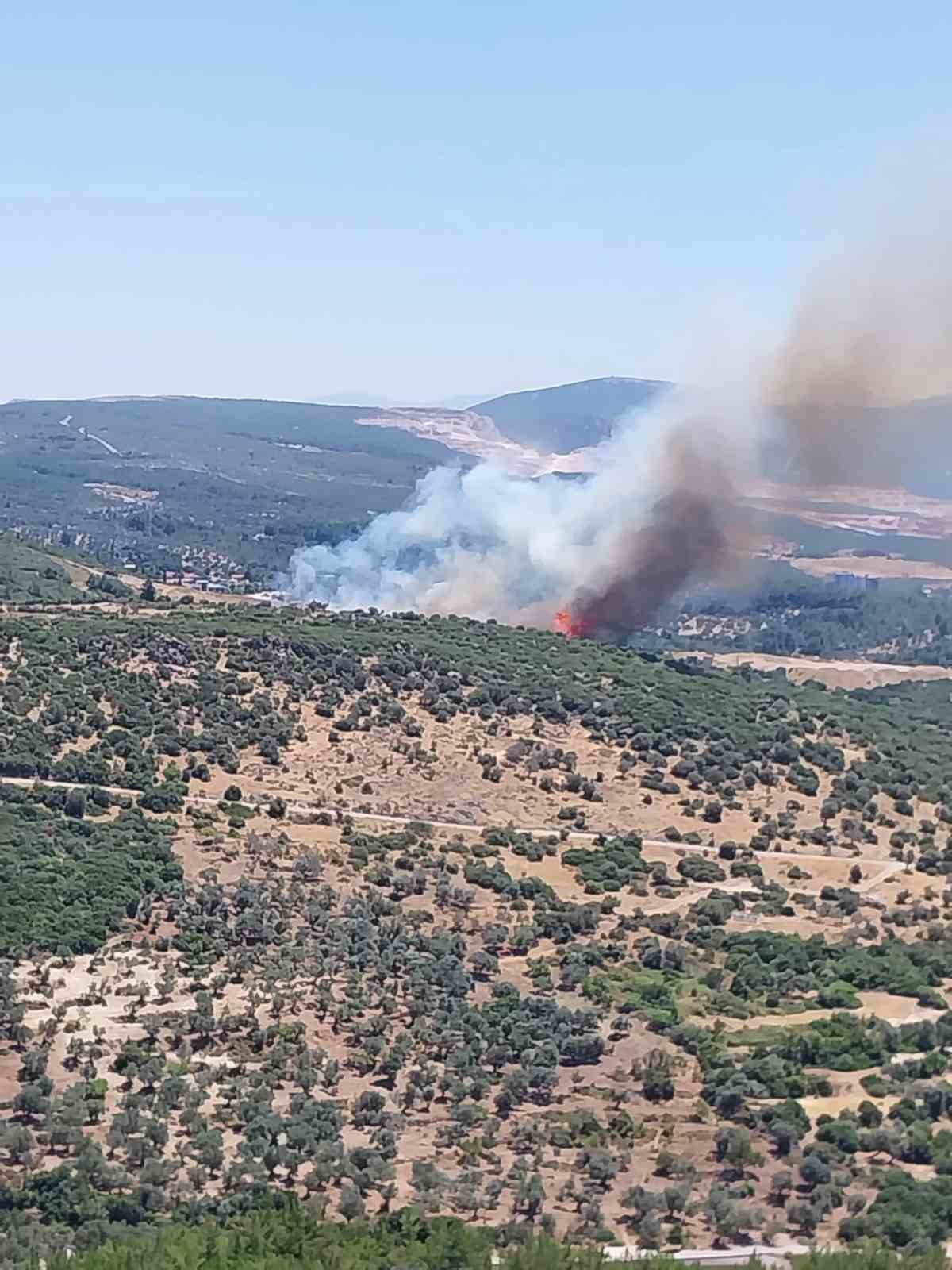izmir-de-orman-yanginina-havadan-ve-karadan-mudahale