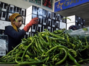 Kıl Sivri Biberin Kaymağını Aracılar Yiyor