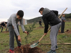 Körfez’de 30 Bin Fidan Toprakla Buluşturuldu
