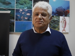 Akdenizin İşgalci Balıkları Su Altında Görüntülendi