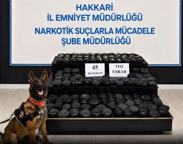 hakkari-de-aranan-sahis-45-kilo-uyusturucuyla-yakalandi