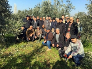 Dokuz Mahallede Zeytin Budama Eğitimi