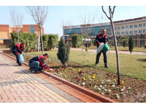 Üniversite Kampüsünde Bahar Hazırlığı