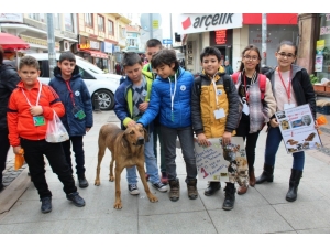 Minik Öğrenciler 1 Tl’ye Kartpostal Satarak Sokak Hayvanlarını Doyurdu