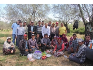 Burhaniye Belediyesinden Çiftçiye Destek