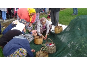 Yüzlerce Yıllık Gelenek Meci