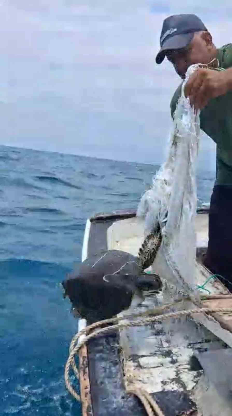 denize-atilan-cuvala-dolanarak-hayat-mucadelesi-veren-caretta-carettayi-balikci-kurtardi