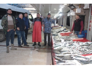 Tavşanlı’da Balık Fiyatları Düştü