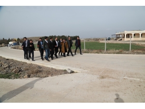 Siverek Kırsalında Beton Yol Çalışması