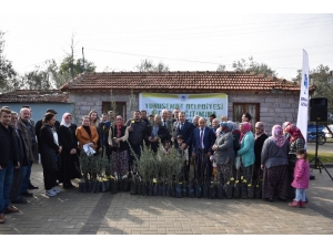 Üreticiler Belediyenin Fidanları İle Kalkınacak