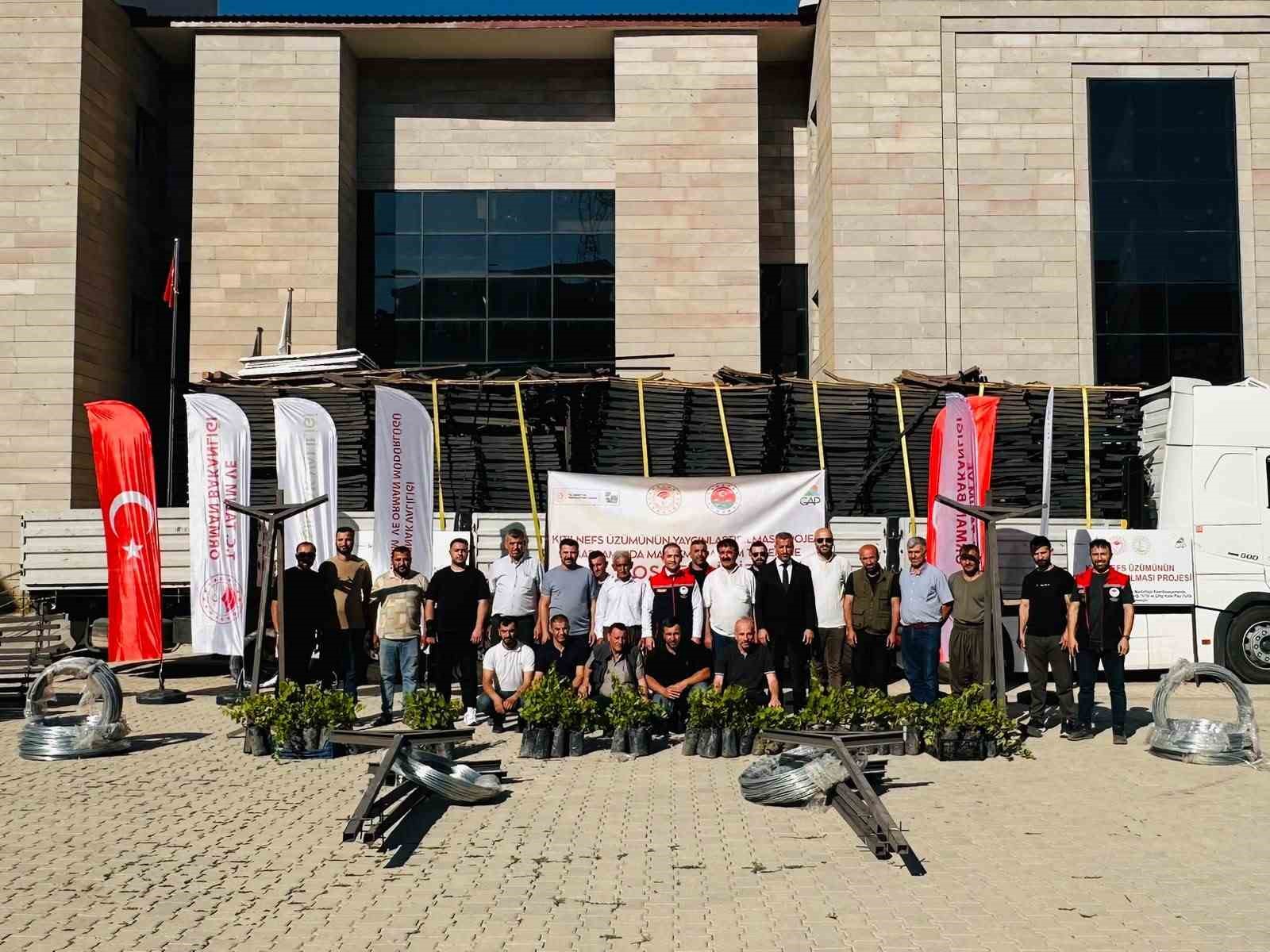 sirnak-ta-kitilnefs-uzumu-icin-ureticilere-ekipman-ve-fidan-destegi