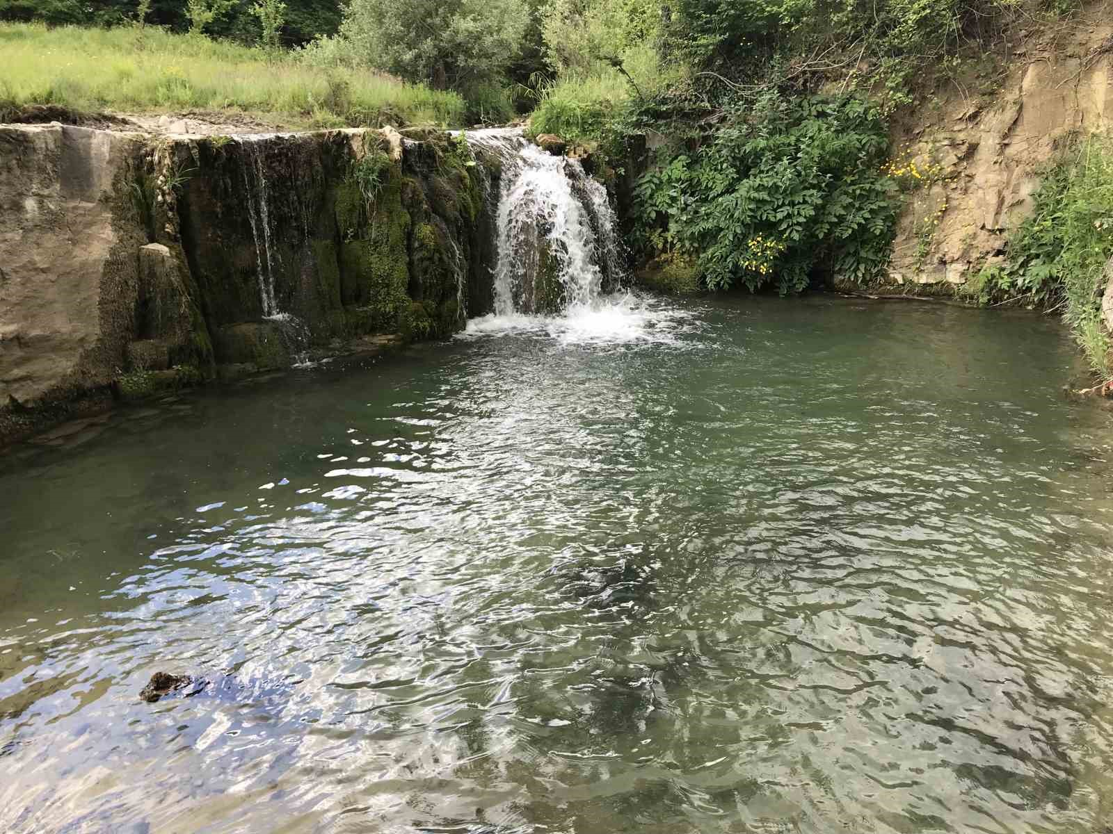 mahallelinin-selale-talebi