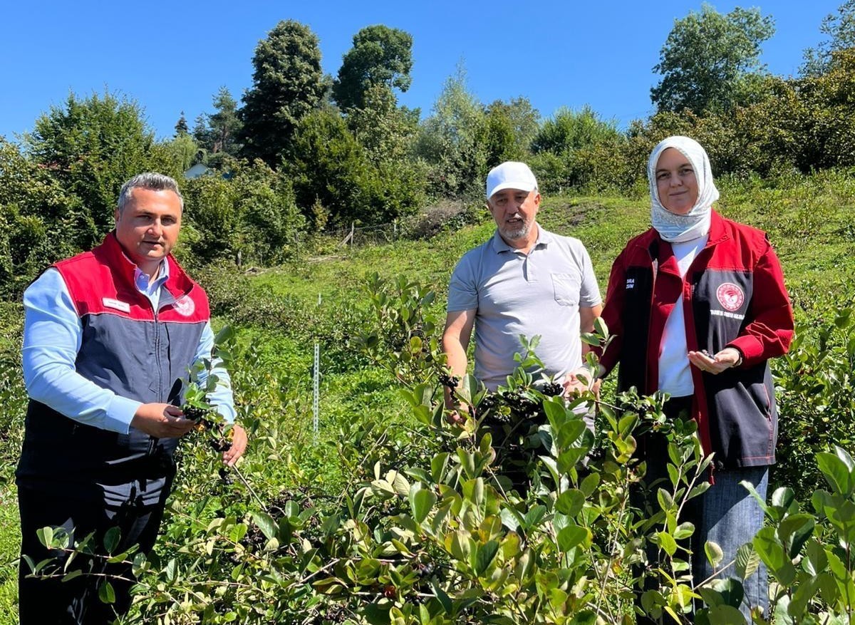 duzce-de-uretiminde-yeni-hedef-katma-degerli-urunler