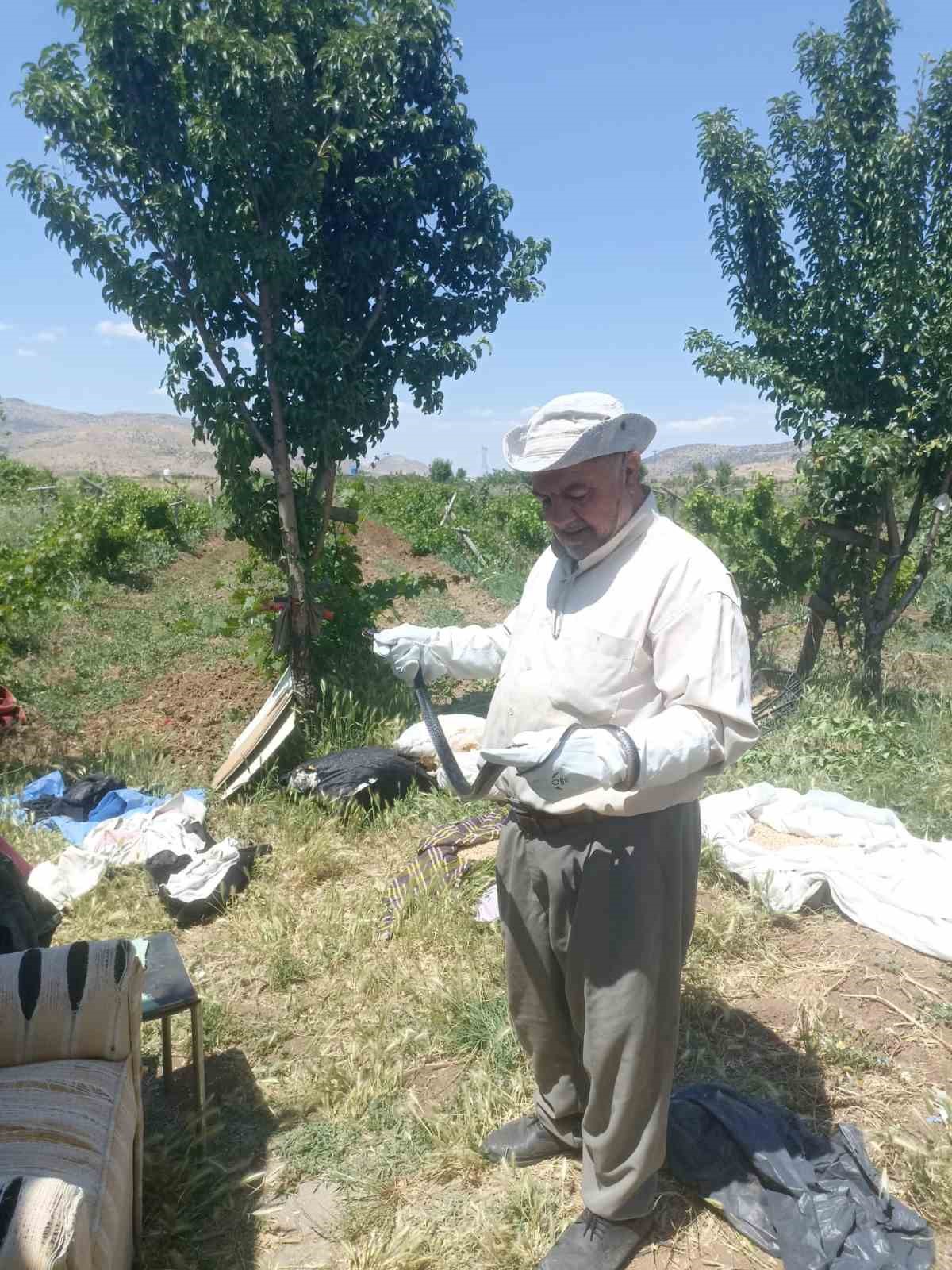 batman-da-bir-vatandas-yakaladigi-yilani-dogaya-birakti