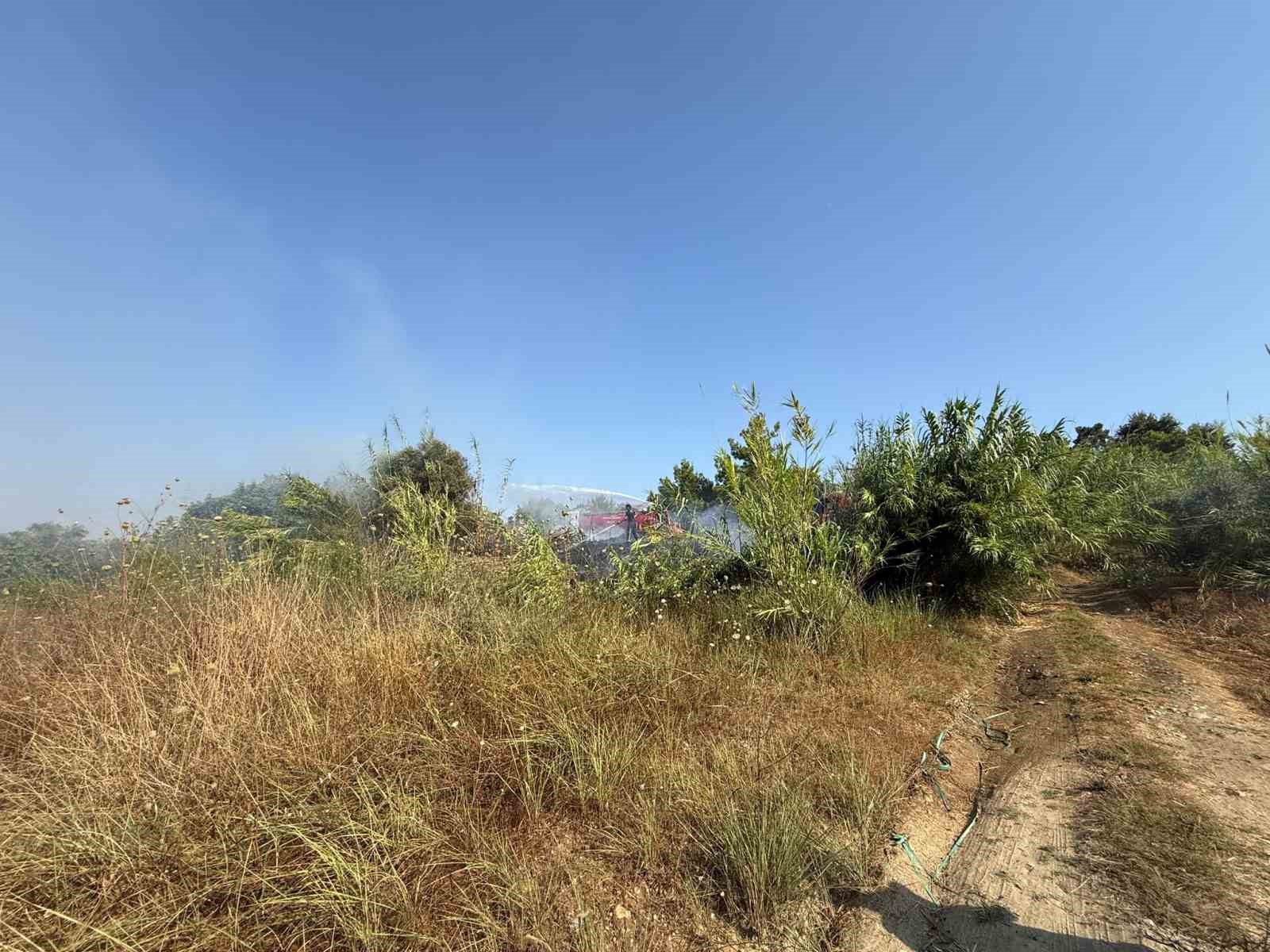manavgat-ta-kamislik-alanda-cikan-yangin-sonduruldu