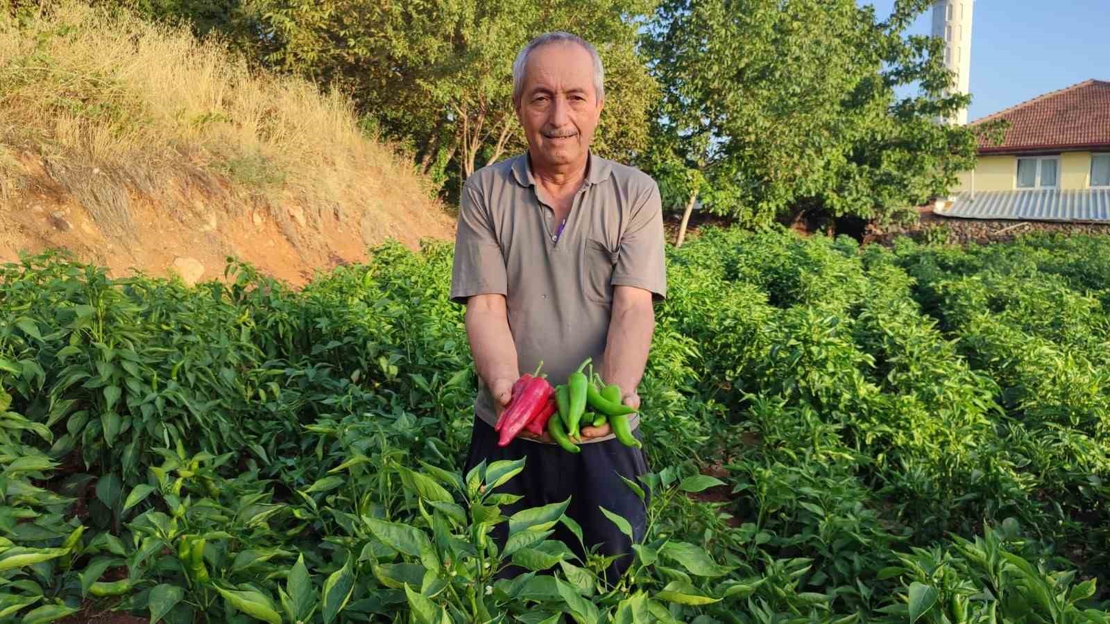 baskan-putun-yerel-urunlerimiz-beyagac-in-zenginligi