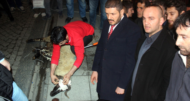 Alperen Ocakları İstanbul İl Başkanı 3 Gün Önce Ölümden Döndüğü Yerde Kurban Kesti