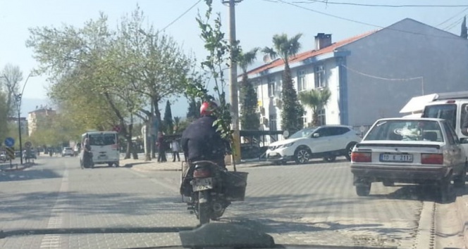 Ağaç Taşıyan Motosikletli Kamerada