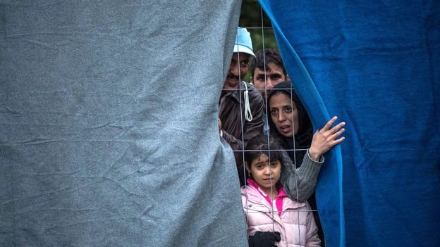 Avusturya'da Yaşayan Binlerce Türk Sınır Dışı Tehlikesi Ile Karşı Karşıya