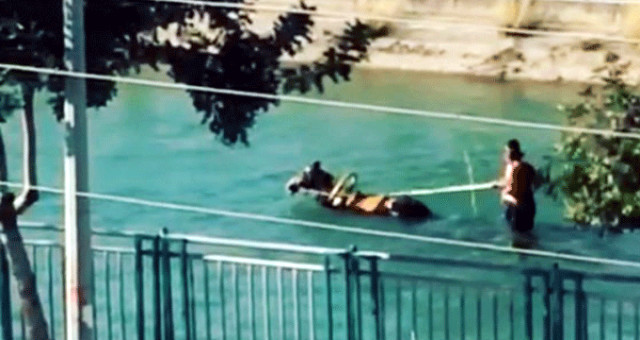 Adana'da Sıradan Bir Gün! Su Kanalında At Arabasıyla Gezintiye Çıktılar