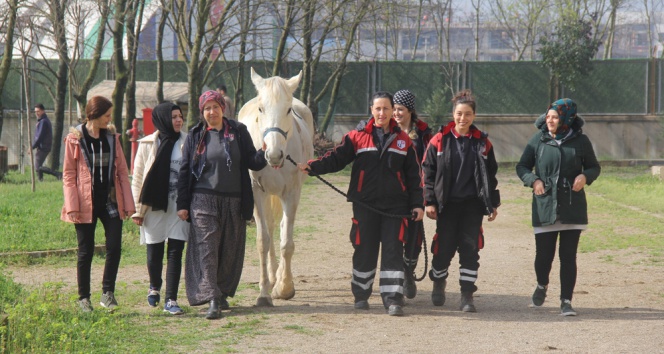 Dokunmaya Korktukları Atların Seyisi Oldular