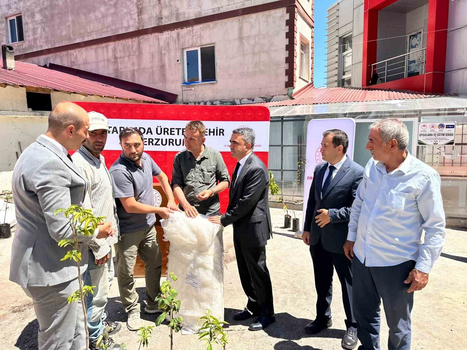 pazaryolu-nda-ureticilere-bin-meyve-fidani-ve-11-sera-naylonu-destegi