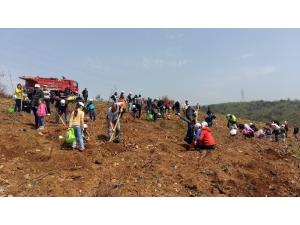 Bursa Çimento Kestel’i Ağaçlandırıyor