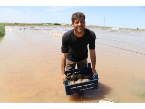 Seraları Basan Su Yüz Binlerce Liralık Zarara Neden Oldu