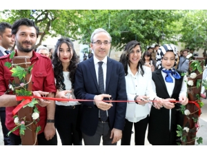 Üniversite Öğrencilerinden Karma Resim Sergisi