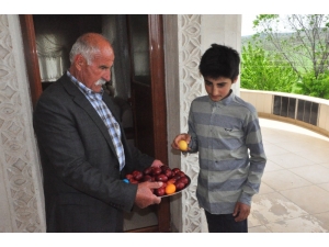 Ezidiler, Kırmızı Çarşamba Bayramı’nı Kutladı