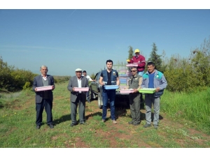 Terminatör Böcekler Doğaya Salındı