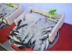 Tezgahlar Dondurulmuş Balığa Kaldı