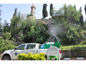 Osmanlı Padişahları Tarih Şeridi’nde İlaçlama Yapıldı