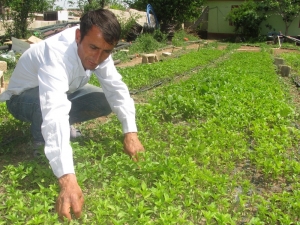 Serada Fide Yetiştirerek Ailesini Geçindiriyor