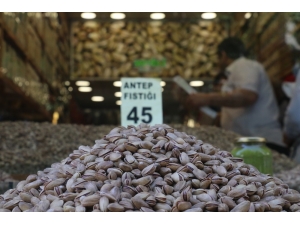 Antep Fıstığı Cep Yakıyor