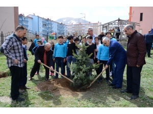 Palandöken Belediyesi Öğrencilerle Fidan Dikti