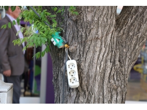 Ağaca Çekilen Üçlü Priz Tehlike Saçıyor