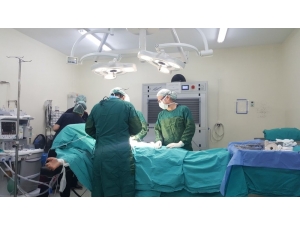 Vasiyeti Yerine Getirildi, Organları Bağışlandı