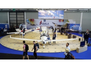 Türk Kartalı Yüksekten Uçar