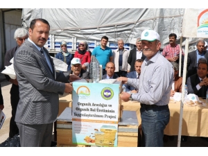 Elazığ’da 400 Organik Kovan Dağıtıldı