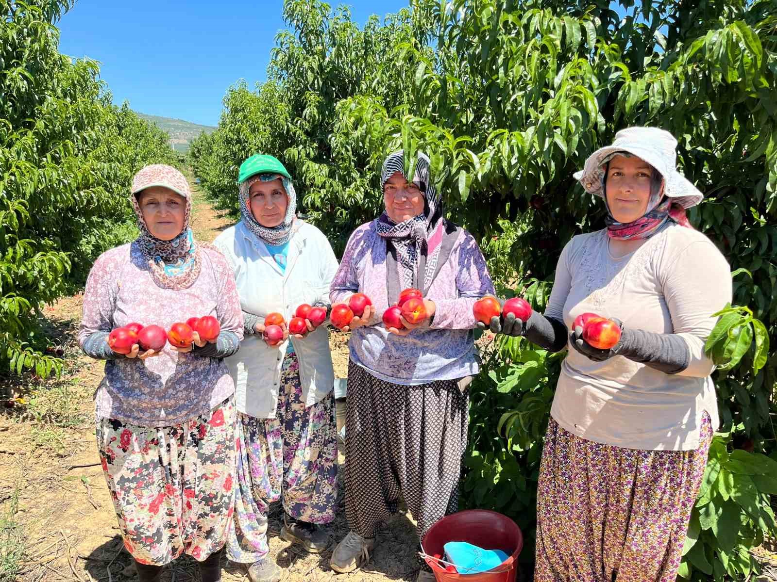 iznikli-nektarin-ureticisinden-fiyat-tepkisi