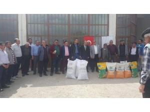 Kaymakam Çiçek: İlçedeki Tarımsal Faaliyetleri Yakından Takip Ediyoruz