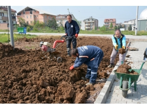 Kartepe Yaza Hazırlanıyor