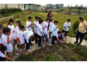 Kartepeli Öğrencilerden Fidanlık Ziyareti