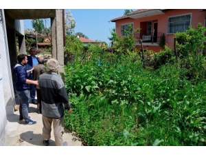 Başkan Yaman Temizlik Çalışmalarını İnceledi